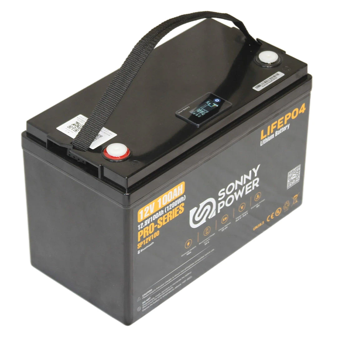sp rv pro series 12v 100ah 3
