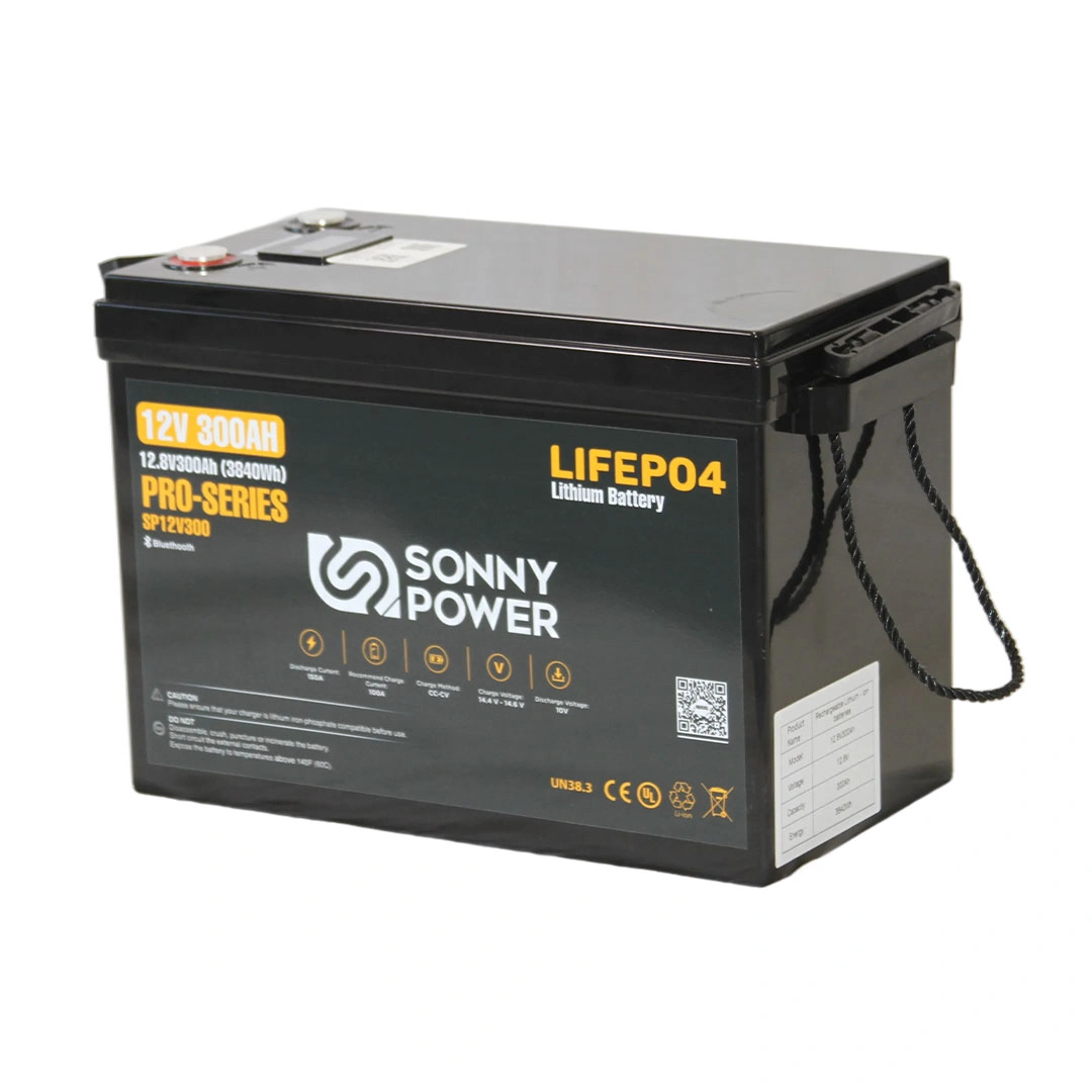 sp rv pro series 12v 300ah 1
